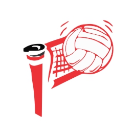 Voleibol